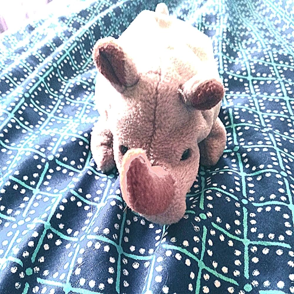 Very rare “Spike” Beanie Baby